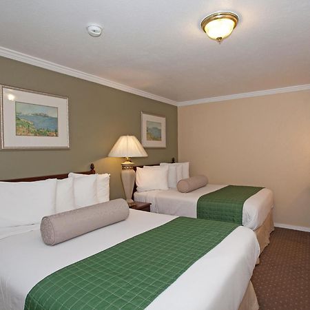 Traveler'S Inn Williams, Ca Modern Renovated Hotel Szoba fotó